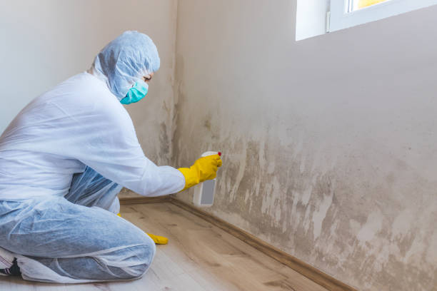 Hvac And Air Duct Mold Remediation inspection of HVAC system in Central City